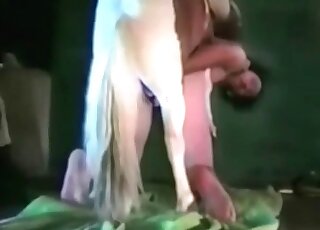 Pony is having magnificent sex at the ranch - зоо порно собаки-> 