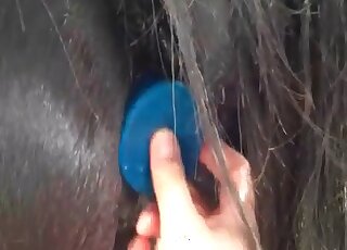 Perverse porn scene focusing on a dirty asshole