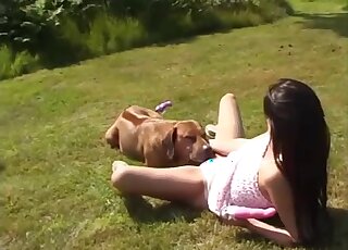 Busty mademoiselle is sucking a massive doggy penis