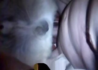 Homosexual bestiality fun to make you cum