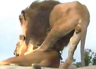 Hot GF enjoying fucking with a sexy-ass lion