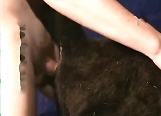 Banging scene with a good-looking black beast