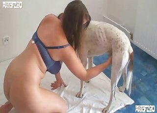 Perfect hound beast porn with a pretty tart