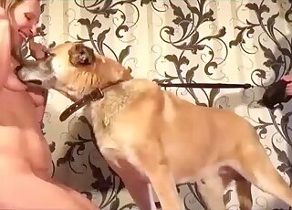 Big tits babe enjoying hot humping with a doggo