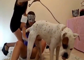 Sexy zoophile Latina wants hard animal dick