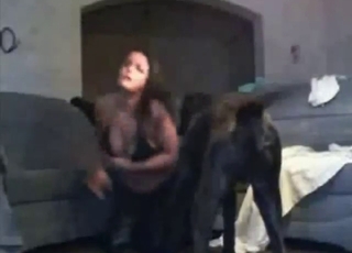 Zoophile porn movie with an open-minded duo