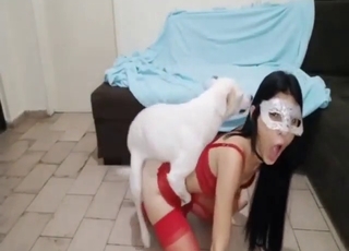 Zoophile girl is going to get fucked on all fours