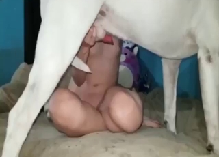 Zoophile-style sex with a kinky camgirl hoe