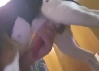 Hotel room hardcore with a truly sexy beast