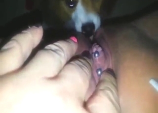 Cutie with a wet pussy gets licked by a mutt