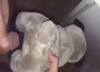 Want to fuck plushie toys and make 'em cum