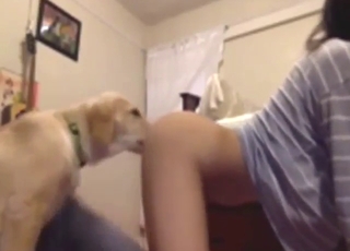 Zoo porn with a hot Asian who wants dog tongue