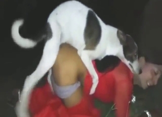 Zoofil porno der viser en hund der knepper en dame