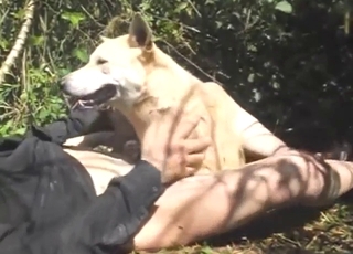 Dude is happy to ride his dog's large knot outside