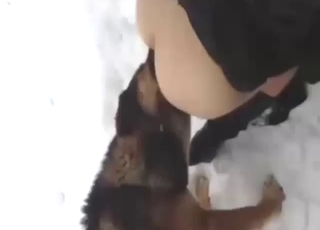 Snowy outdoor dog tonguing for a horny zoophile
