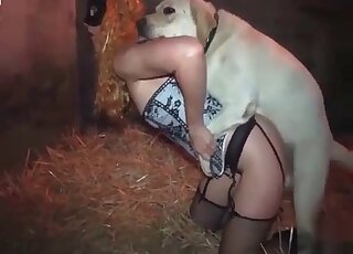 Wild fuck with a white dog - หนังโป๊คนเอากับหมา 