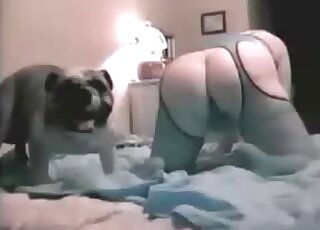Small doggy nicely licks her tight ass