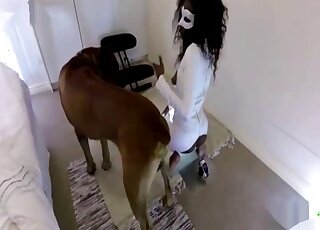 Long-haired ebony zoophile and her trained beast