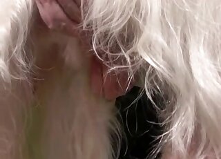 Deformed dick 'swallows' animal dick