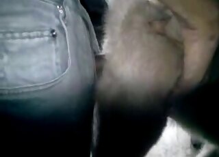 Drilling that animal's tight hole