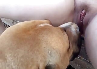 Pretty animal zoo hump with an ardent woman