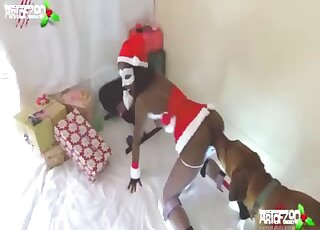 Aesthetic dog porn action with a nice hottie