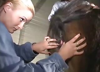 Horse teen porn