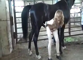 Sey black horse is gonna fuck a sexier blonde gal