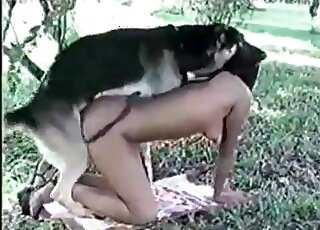 Dog using its hard cock to ruin this bitch forever
