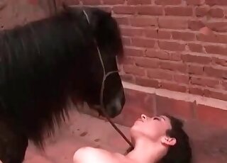 Porno animal poni Pferd Porno