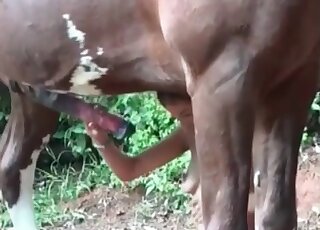 Thin chick wants a ginormous horse cock inside